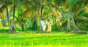 Hari Reshma Kerala Wedding 2017 I Framehunt