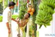 Kerala Wedding Photos Collection